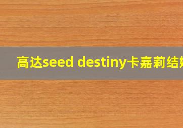 高达seed destiny卡嘉莉结婚